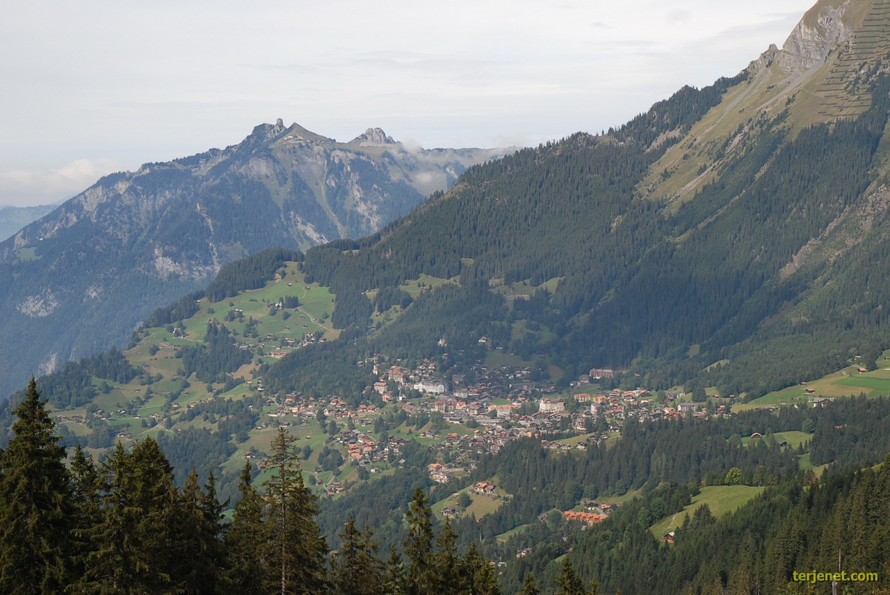 Wengen